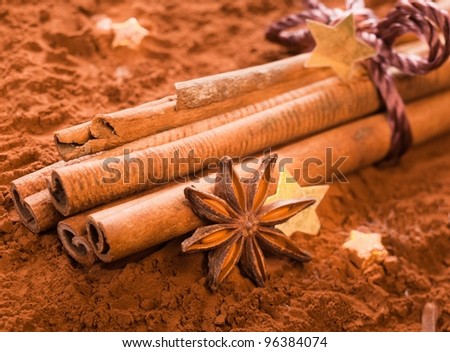 Bunch of Cinnamon with golden Stars and anise on powdered cacao