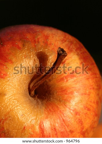 close up picture ofan apple