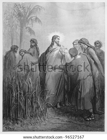 Jesus tells the disciples that they may pick corn - Picture from The Holy Scriptures, Old and New Testaments books collection published in 1885, Stuttgart-Germany. Drawings by Gustave Dore.