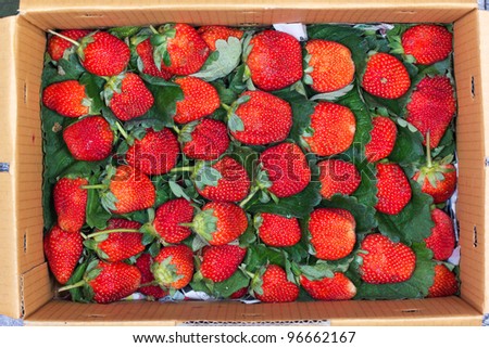 Heap red strawberries in the box.