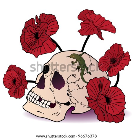 vector illustration of the skull, lizard and poppies