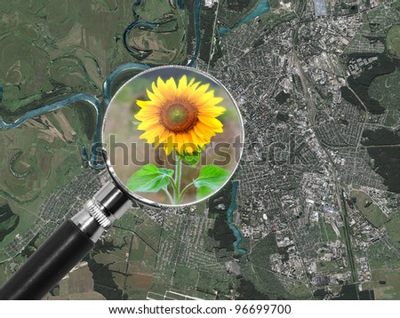 Image of sunflower through a lens on a background earth