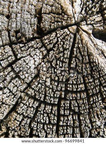 Close up of old cracked wood for background