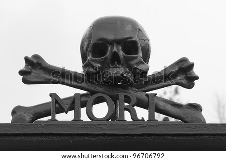 A skull at a graveyard (Memento Mori)