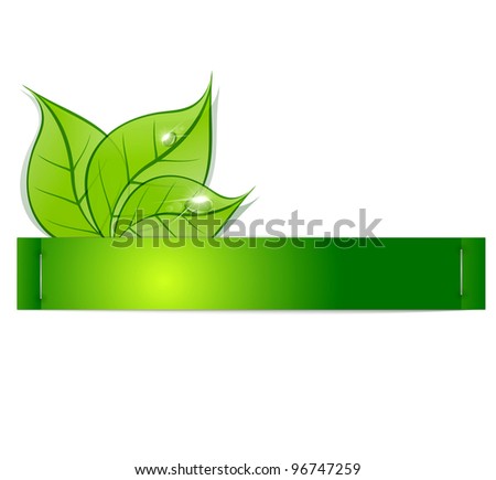 paper strip with green leaves and drops of dew on a white background (JEPG version)