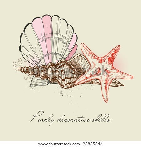 Shells and starfish vector background