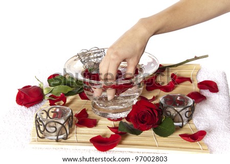 Rose petal hand spa treatment. Aromatherapy while woman soaks hand in water ready for manicure. White background