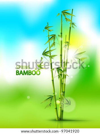 Spring nature bamboo vector background