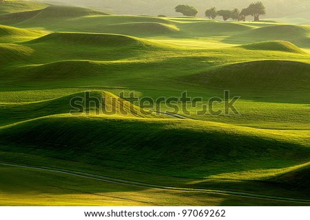 golf place with nice green
