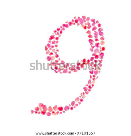 Number Nine/Composed with Rose Leaves/Isolated on White