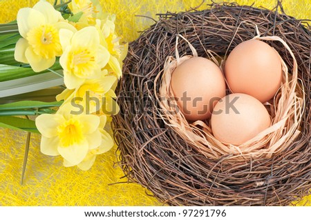 The eggs in the nest on yellow background .