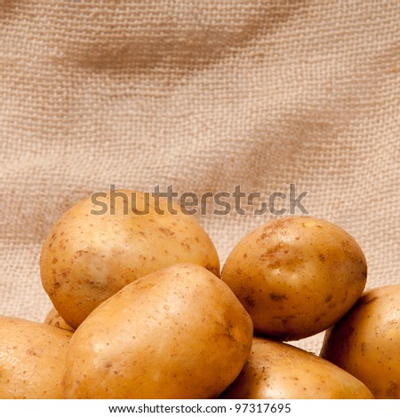 ripe fresh potato tubers in brown sackcloth