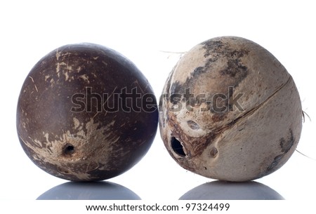 Two coconut isolated on white background