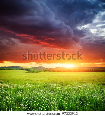 Green meadow in mountain. Composition of nature. Royalty-Free Stock Photo #97333913