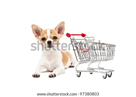 Pomeranian dog next to an empty shopping cart, over white