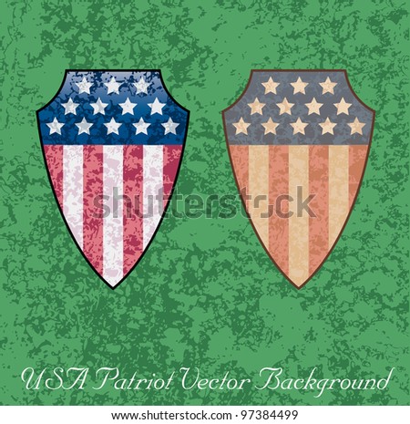 Vector illustration of an american shield.