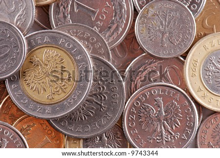 Polish coins in close-up
