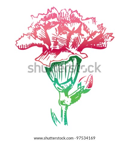 Pink carnation flower. Hand drawing sketch vector icon