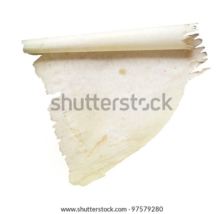 piece of torn paper, isolated, free copy space