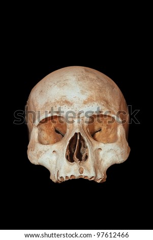 A human skull on a black background.
