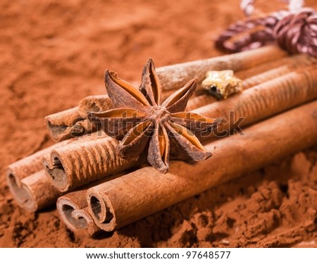 Cinnamon bundled, with anise star on a brown cocoa background