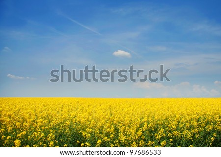The background color of mustard. Royalty-Free Stock Photo #97686533