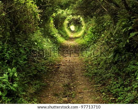 Tunnel -like path covered with bushes and trees with light at the end Royalty-Free Stock Photo #97713710