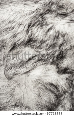 Polar fox fur texture for background Royalty-Free Stock Photo #97718558