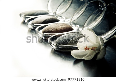 stylized photo of the different eyeshadows and flower