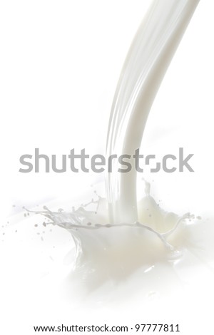 pouring milk splash isolated on white background Royalty-Free Stock Photo #97777811