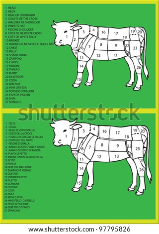 beef diagram Royalty-Free Stock Photo #97795826