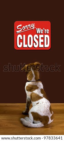 Sorry We Are Closed the Dog Reads.