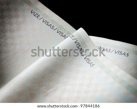 Closeup view of empty pages for visas in a passport.