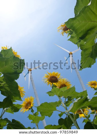 Windmill with sunflowers and pure fresh air