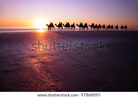 sunset camel rides on Cable Beach Royalty-Free Stock Photo #97860095