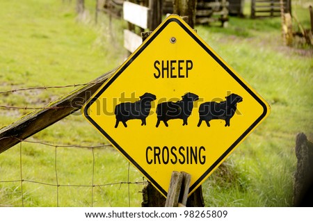 Sheep Crossing sign on a Oregon sheep ranch