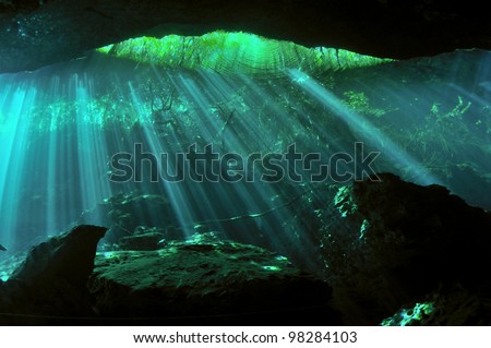 Sunbeams penetrating through the waters of the underwater cave with sunken trees in the background, Yucatan peninsular, Mexico