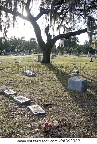 Graves and tombstones at a cemetery.