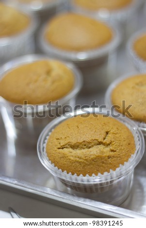 Many Cupcake in Plastic Cups on Tray Before Decorate on