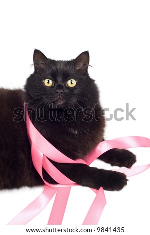 black cat playing with pink ribbon