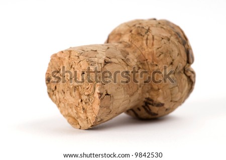 Macro picture of a champagne cork.