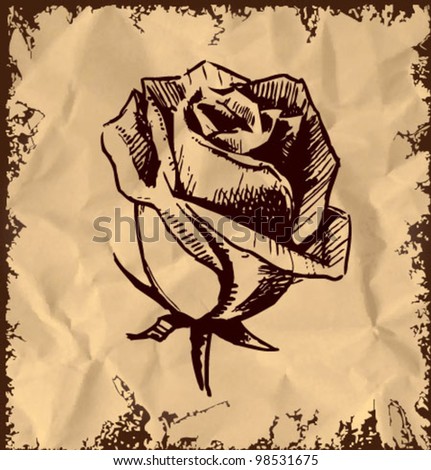 Vintage rose bud. Sketch vector illustration