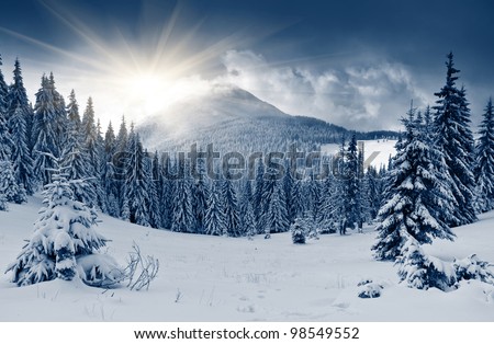 Beautiful winter landscape with snow covered trees Royalty-Free Stock Photo #98549552