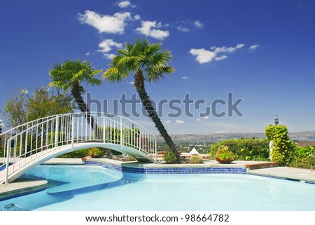 Backyard with swimming pool and little bridge, surrounded by palm trees