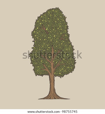 Vector green tree