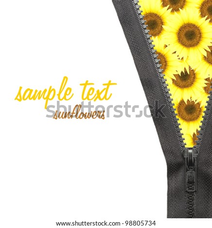 Zipper dress  sunflowers  isolated on white background