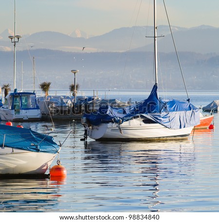 Picture of the yachts, near which are flying seagulls. In the background the snowy Alps, lit sunset light, Zurich.