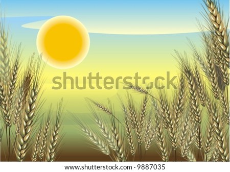 Agriculture.Landscape