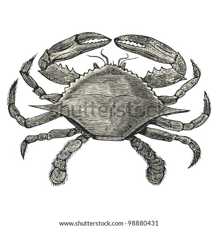 Crab - vintage engraved illustration - "Dictionnaire encyclopÃ?Â©dique universel illustrÃ?Â©" By Jules Trousset - 1891 Paris