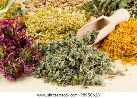 healing herbs with scoop on wooden table, herbal medicine
